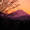 夕暮れのシルエットな富士山?・・昭和記念公園 20131215