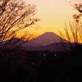 夕暮れのシルエットな富士山?・・昭和記念公園 20131215