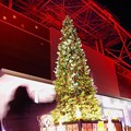 写真: 東京タワーのクリスマスツリーイルミネーション2013・・20131222
