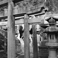 肩を並べる鎌倉銭洗弁天の石の鳥居・・20140104