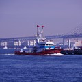 写真: 横浜消防の消火艇も登場・・横浜消防出初式