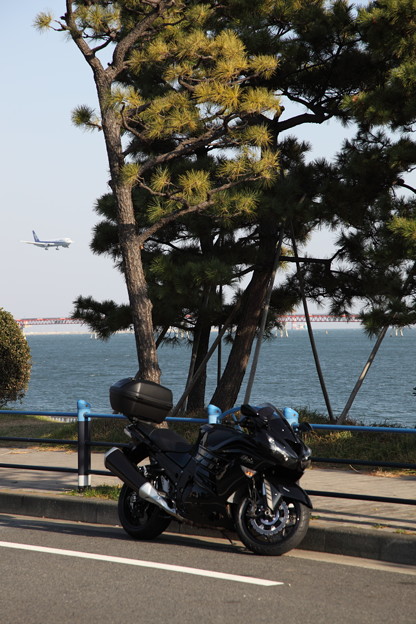 写真: 20130102-140557 京浜島にて