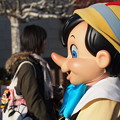 写真: ピノキオ