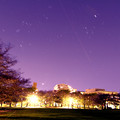 写真: 4月3日　夜空（桜の公園）