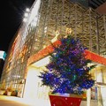 写真: 仙台駅前のクリスマスツリー
