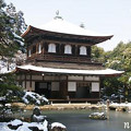 Photos: 雪の銀閣寺。