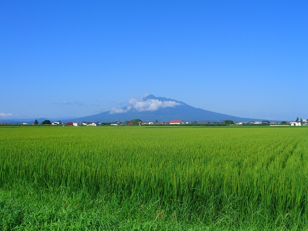写真: 津軽富士