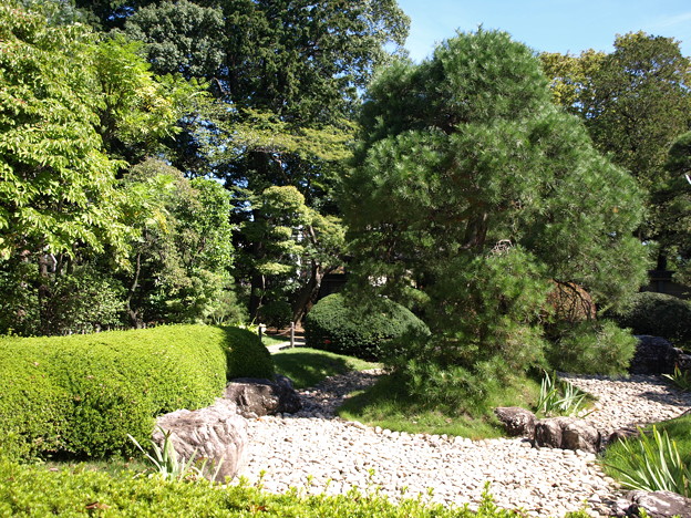 写真: 中院の庭
