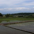 写真: 棚田と雲隠れする富士