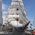 写真: 日本丸 総帆展帆・満船飾２