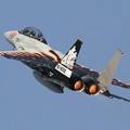 写真: 2010年 第23飛行隊 F-15DJ
