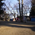 写真: 1月17日に鷲宮神社へ行きました・その5