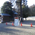 写真: 1月17日に鷲宮神社へ行きました・その6