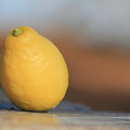 写真: レモン　檸檬　LEMON