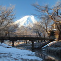 写真: 忍野冬景