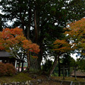 写真: 秋の荻ノ島