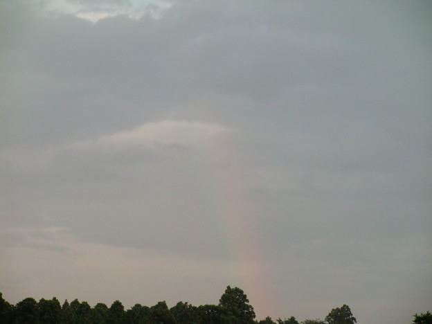 写真: rainbow
