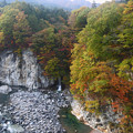 写真: 鬼怒川源流小さな滝