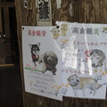 写真: 愛犬（平野山高蔵寺）