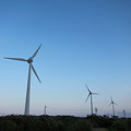 写真: 西平安名崎の風車