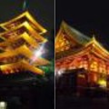 写真: 夜の浅草寺です