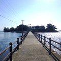 写真: 大島への桟橋＠佐久島