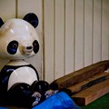 写真: 廃材と虚ろなパンダの遊具