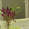 写真: 洗面台に花を飾る
