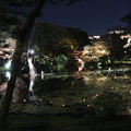 写真: 日比谷公園ライトアップ(2013-11-29-3)