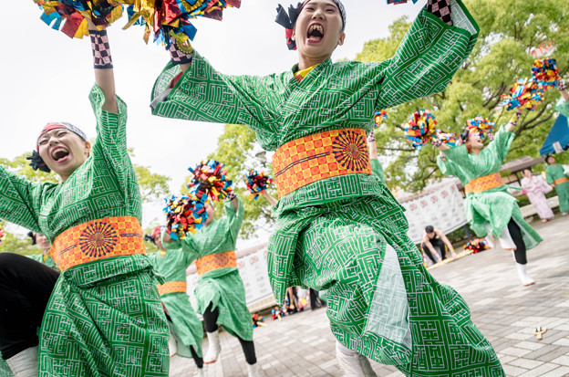 写真: 犬山踊芸祭2016　風鈴鹿山
