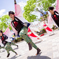 写真: 犬山踊芸祭2017　しなの大和