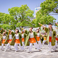 写真: 犬山踊芸祭2017　菜花