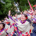 写真: にっぽんど真ん中祭り2017　京炎 そでふれ！京小町