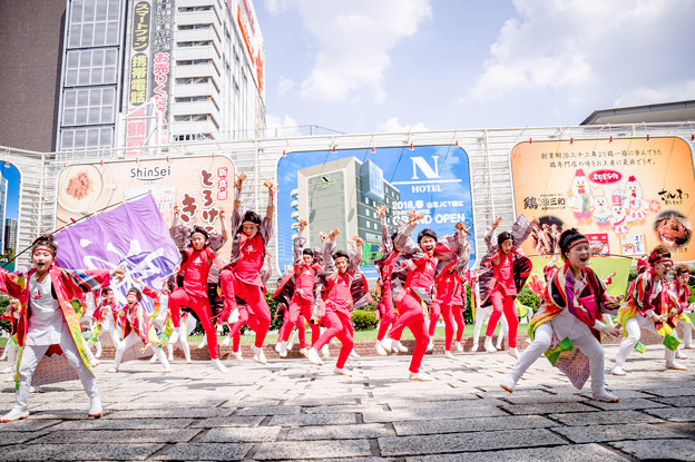 写真: にっぽんど真ん中祭り2017　朝霞なるこ遊和会