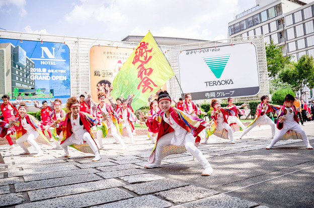 写真: にっぽんど真ん中祭り2017　朝霞なるこ遊和会