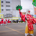 写真: YOSAKOIソーラン祭り2018　新川天狗乱舞