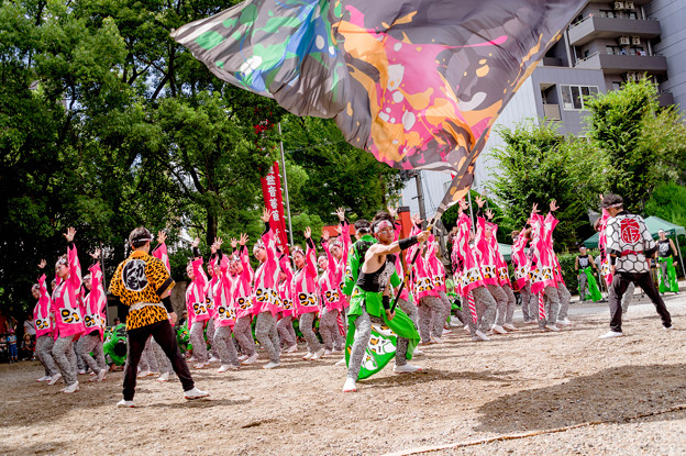 写真: にっぽんど真ん中祭り2018　嘉們-KAMON-