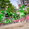 写真: にっぽんど真ん中祭り2018　嘉們-KAMON-