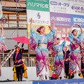 写真: 踊っこまつり2019　京炎そでふれ！輪舞曲