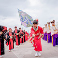 写真: 堺よさこいかえる祭り2019　ARESOREKORE