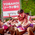 写真: YOSAKOIソーラン祭り2019　藤・北大&ホンダカーズ北海道