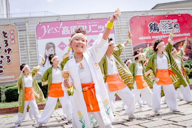 写真: にっぽんど真ん中祭り2019　SAIKA-菜花-