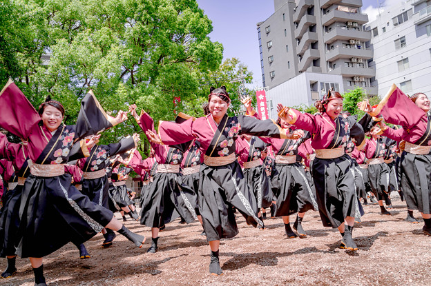 写真: にっぽんど真ん中祭り2019　京炎そでふれ！京小町
