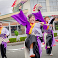 写真: 御食国若狭おばまYOSAKOI祭2019　Yosakoi Team 一新