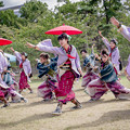 写真: YOSAKOI高松祭り2019　四国よさこいチーム百華夢想