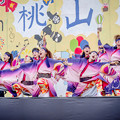 写真: 桃食べな祭2019　河内連