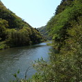 写真: 立久恵峡の神戸川と緑