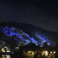 写真: 嵐山　ライトアップ