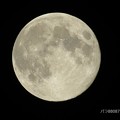 写真: 昨夜の満月！