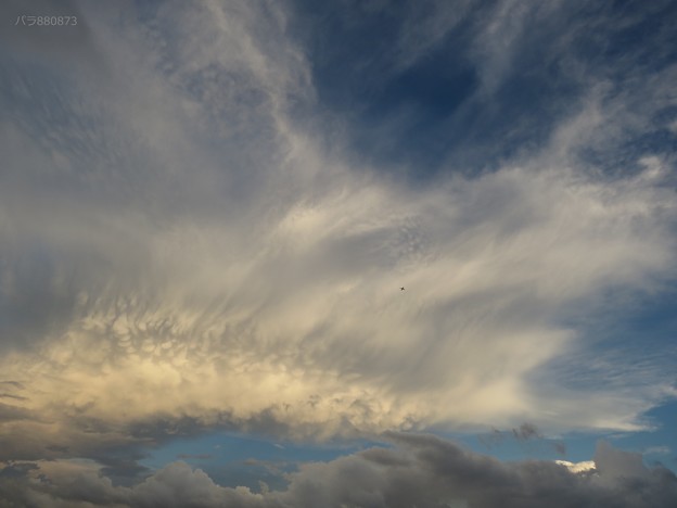 写真: ダイナミックな南の空の雲